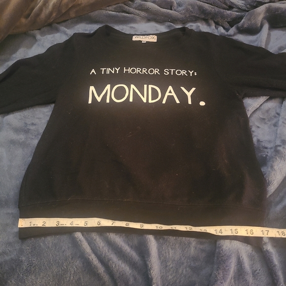 Wildfox A Tiny Horror Story Supersoft Sweatshirt XS - Picture 6 of 6
